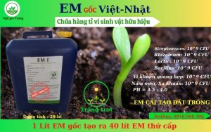 EM goc Viet Nhat 1